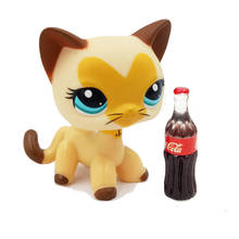 LPS CAT Food Accessories for Littlest pet shop bobble head toys cat Standing real Short Hair kitten with drink burger original 2024 - buy cheap