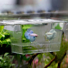 Acrylic Aquarium Fish Tank Incubator Box Isolation Box Suction Cup Type Juvenile Fish Breeding Production Box Incubator 2024 - buy cheap
