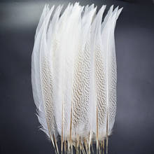 Penas naturais de cauda de faisão, para artesanato 8-32 "20-80cm, penas de prata, carnaval, decoração 2024 - compre barato