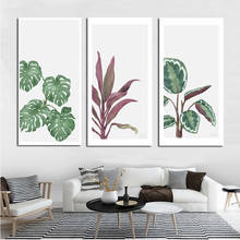 Pintura em tela monstera de plantas verdes, artísticas para parede, posteres e impressões nórdicas, imagens para decoração de sala de estar sem moldura 2024 - compre barato