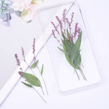 20pcs/lot,Natural Pressed purple pink grass with stem,Eternal flowers for DIY Wedding invitations Craft Photo Bookmark Gift Card 2024 - buy cheap