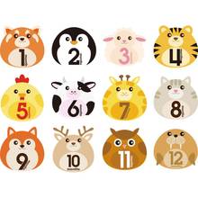 12 Pcs Animal First Year Monthly Milestone Photo Sharing Baby Belly Stickers 1-12 Months  Baby Growth Album 2024 - buy cheap