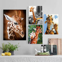 Алмазная 5D картина «сделай сам», полноразмерная вышивка с животными, слон, жираф, вышивка крестиком, мозаика, домашний декор 2024 - купить недорого