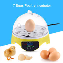 Portable Automatic Temperature Control Egg Tray Incubator Mini Egg Incubator 7PCS Eggs Automatic Poultry Chicken Hatcher Machine 2024 - buy cheap