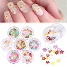 1Box Colorful Flower and Plant Nail Art Sequins Glitter Manicure Decoration 3D Mixed Designs Slices Nail Art Decoration DIY 2024 - buy cheap