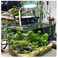 Mini LED light aquarium fish tank water plant grow 6500k 3w USB charge 360 degree angle adjustable PC computer charge power 2024 - buy cheap