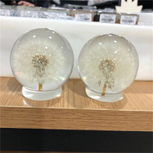 Dandelion Crystal Glass Resin Lens Ball 65mm Natural Plants Specimen Feng Shui Flowers Christmas Love Gift Home Decor Globe 2024 - buy cheap