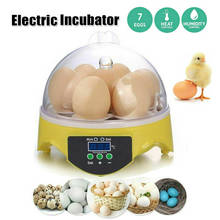 Миниатюрный цифровой инкубатор для 7 яиц, автоматическая температура, Брудер, курица, утка, птица, яйцо, инкубатор 110 220 В, устройство для инкубации птицы на ферме 2024 - купить недорого