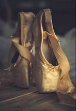 JMINE Div 5D балерина балерины обувь полностью Алмазная краска наборы для вышивки крестиком искусство Высокое качество живописная 3D краска алмазами 2024 - купить недорого
