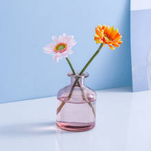 Vaso de vidro transparente para decoração de casa, vaso de vidro colorido para sala de estar, vaso de flores para mesa, acessórios de decoração para casa e nórdico 2024 - compre barato