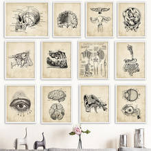 Arte de pared en lienzo, pintura de anatomía, esqueleto, carteles nórdicos e impresiones, imágenes de pared Vintage para decoración de oficina, Médico y Hospital 2024 - compra barato