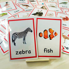 72 pçs inglês animais cartões flash para crianças bebê crianças cognitivo aprendizagem cartão palavra montessori brinquedos educativos auxiliares de ensino 2024 - compre barato