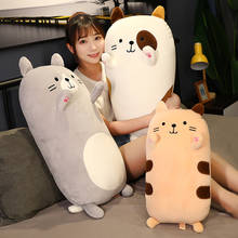 Juguetes de peluche de gato Kawaii, almohada de dibujos animados de muñeca gatita, almohada larga y suave Huggable, regalos de cumpleaños y Navidad, gran oferta 2024 - compra barato