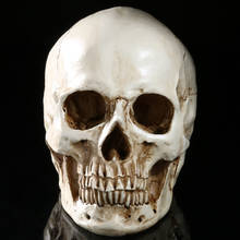 Модель черепа HeyMamba из эпоксидной смолы, Человеческие черепа ручной работы для украшения в натуральную величину 1:1, скелет, череп, украшение, художественные подарки 2024 - купить недорого