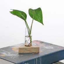 Vaso de ensaio 2 peças, tubo de vidro em suporte de madeira para plantas hidropônicas diy 2024 - compre barato