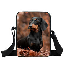 Cute Dog Dachshund Messenger Bag Women Handbag Girls Satchel Bags Leisure Cross Bags for Travel Ladies Shoulder Bag Bookbag 2024 - buy cheap