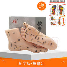 Modelo de masaje de zona para reflejos de pies de 19cm, no modelo de acupuntura, modelo de masaje de pies reflexología de pies de idioma chino, 1 par médico 2024 - compra barato