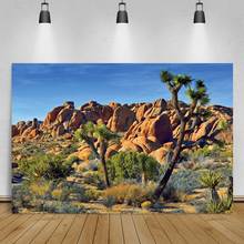 Laeacco deserto arbusto cacto pedra encosta natural cênica céu azul vista fundo fotográfico foto pano de fundo photocall cartaz 2024 - compre barato