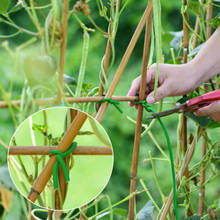 Gravata por torção de plantas reutilizável, fita macia à prova d'água para jardim, acessórios de jardinagem, prendedor para plantas diy 2024 - compre barato