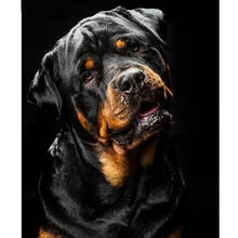 Diamond Painting Rottweiler Dog Full Square Diamond Embroidery Pet Cross Stitch Needlework Diamond Mosaic Rhinestones Home Decor 2024 - buy cheap