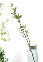 Искусственный пластик Banyan дерево листья ветка зеленое растение Настоящее прикосновение поддельные листья для дома Свадебный декор 2024 - купить недорого