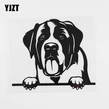 Yjzt 17.2cmx15cm moda saint bernard cão peeking vinil etiqueta do carro preto/prata 8a-0060 2024 - compre barato