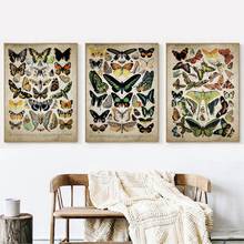 Carteles e impresiones de arte de mariposa Vintage, Idea de regalo de lepidopterista, imágenes artísticas de Naturaleza de insectos, pintura en lienzo, decoración artística de pared del hogar 2024 - compra barato