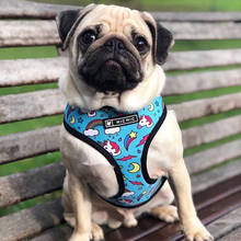 Fashion Unicorn Print Breathable Puppy Dog Pet Harness Frenchg Bulldog Product for Small Medium Dog Chihuahua Vest Leash S-XL 2024 - buy cheap