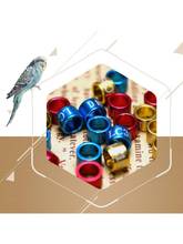 Bandas de palomas para pájaros, anillos de entrenamiento para identificar especies, etiqueta de pájaro para mascotas, 50 Uds., novedad de 2021 2024 - compra barato