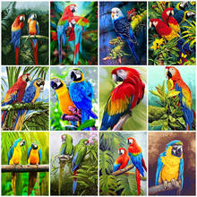 HUACAN DIY Pictures By Number Animal Painting By Numbers Bird Drawing On Canvas Hand Painted Paintings Parrot Kits Home Decor 2024 - buy cheap
