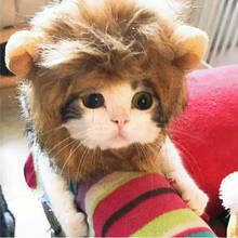 Аксессуары для кошек костюм для домашних животных Лев грива парик шляпа собака кошка одеваются Хэллоуин украшения 2024 - купить недорого