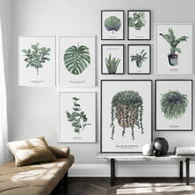 Pintura en lienzo de plantas de estilo verde, carteles e impresiones, arte de pared, imagen para sala de estar, decoración del hogar 2024 - compra barato