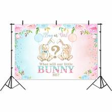Gender Reveal Boy or Girl Bunny One Backdrop Spring Bunny Baby Shower Party Banner Background Pink Flowers Photo Booth Backdrops 2024 - buy cheap
