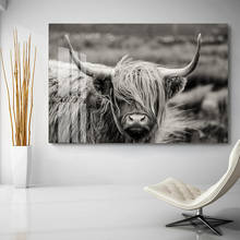 Black and White Scottish Highland Yak Canvas Painting Animals Posters and Prints Nordic Wall Art Pictures for Living Room Decor 2024 - buy cheap