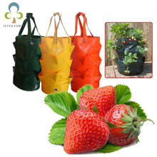 Strawberry Planting Growing Bag 3Gallons Multi-mouth Container Bags Grow Planter Pouch Root Bonsai Plant Pot Garden Supplies ZXH 2024 - buy cheap