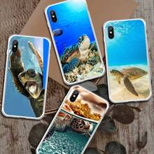 ocean animal cute Turtles Phone Case Transparent for iPhone 6 7 8 11 12 s mini pro X XS XR MAX Plus 2024 - buy cheap