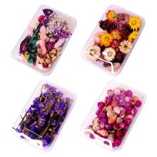 1Box Crystal Epoxy Filler Dry Flower Mixed Nail Stickers Decorations Resin Filling Material Crafts Art Jewelry DIY Accessories 2024 - buy cheap