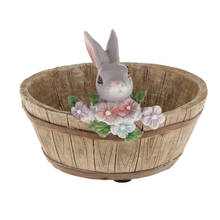 Gray Rabbit Flower Sedum Succulent Pot Planter Bonsai Trough Box 2024 - buy cheap