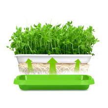 Soilless Nursery Trays Plastic Seedling Starter Tray Double-Layer Plant Seeds Pot For Seeds Sprouter Hydroponic Systems Indoor 2024 - buy cheap