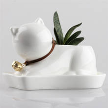 Desktop Kawaii Small Cat Kitten Cub Pearl White Ceramic Flowerpot Succulent Plant Pot Nursery Garden Porcelain Flower Pot Bonsai 2024 - buy cheap