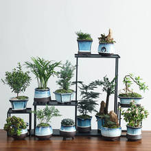 Tianmu-maceta de cerámica azul brillante para bonsái, florero sin planta, contenedor transpirable para oficina, balcón, jardín, decoración del hogar 2024 - compra barato