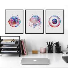 Eye Anatomy Medical Posters and Prints Optometrist Gift Ophthalmology Medicine Wall Art Canvas Painting Pictures Clinic Decor 2024 - buy cheap