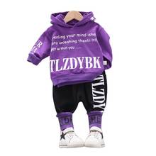Fashion Baby Clothes Autumn Children Sweatshirts Boys Sport Hoodies Pants 2Pcs/set Toddler Costume Girls Clothing Kids Tracksuit 2024 - buy cheap