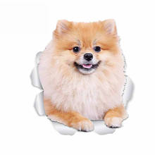 Dasasaru-pegatinas de estilo de coche para perro de Pomerania, calcomanía para maletero, Material de vinilo impermeable adecuado para VAN RV,13cm * 11cm 2024 - compra barato