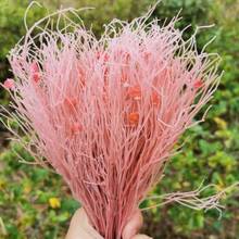 30g/lot,Natural Fresh Preserved Fantasy Grass,Eternal rose flower Bouquet for Wedding Home Decoration accessories,Display flower 2024 - buy cheap