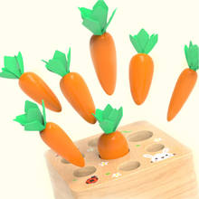 Juego de bloques de madera Montessori para niños, juego de zanahoria a juego, tamaño y forma cognitiva, juguete educativo para la primera infancia 2024 - compra barato