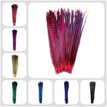 Wholesale 50-55cm Natural Dyed Ringneck Pheasant Tail Feather Chicken Feathers For Wedding Party Carnival Samba Performance Deco 2024 - buy cheap