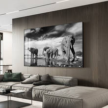 Black and White Animal Art Wild Elephant Landscape Canvas Painting Posters and Prints Cuadros Wall Art Picture for Living Room 2024 - buy cheap