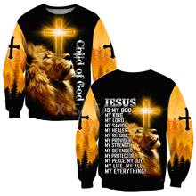 Jesus Christ Lion Cross 3D All Print Plus Hoodie  Man Women Harajuku Outwear Zipper Pullover Sweatshirt Casual Unisex Jacket 2024 - buy cheap