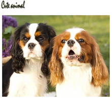 Bonito animal pintura diamante cavalier rei charles spaniel redondo broca completa 5d diy mosaico diamante bordado ponto cruz decoração 2024 - compre barato